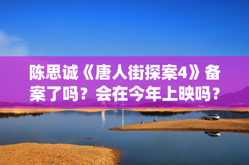 陈思诚《唐人街探案4》备案了吗？会在今年上映吗？投资可以参与吗？(唐人街导演陈思诚老婆)