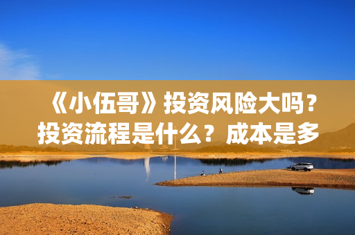 《小伍哥》投资风险大吗？投资流程是什么？成本是多少？(小伍哥能投)