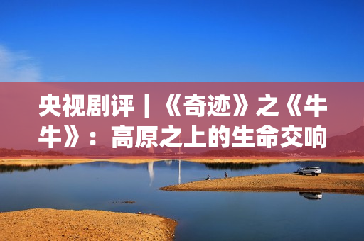 央视剧评｜《奇迹》之《牛牛》：高原之上的生命交响(电影奇绩)