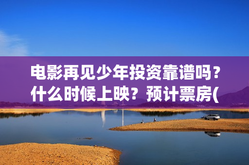 电影再见少年投资靠谱吗？什么时候上映？预计票房(电影 再见少年)