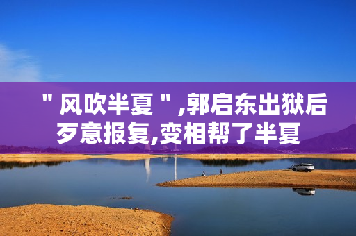 ＂风吹半夏＂,郭启东出狱后歹意报复,变相帮了半夏