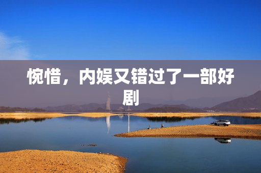 惋惜，内娱又错过了一部好剧