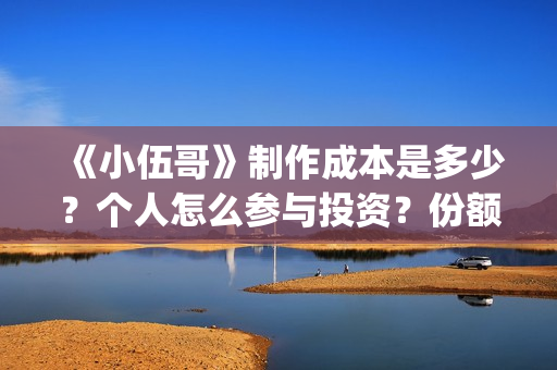 《小伍哥》制作成本是多少？个人怎么参与投资？份额是真实的吗？(《小伍哥》制作方法)