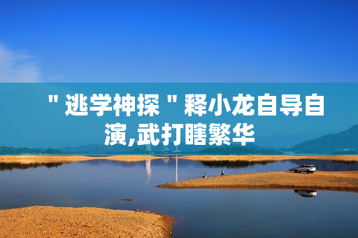 ＂逃学神探＂释小龙自导自演,武打瞎繁华