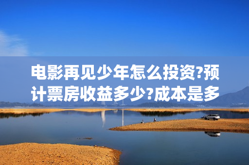 电影再见少年怎么投资?预计票房收益多少?成本是多少?(再见少年咋样)