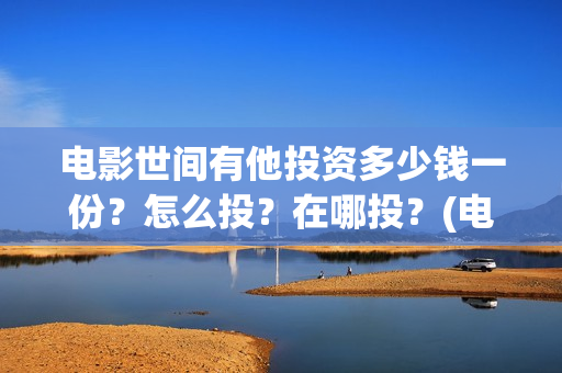 电影世间有他投资多少钱一份？怎么投？在哪投？(电影《世间有她》)