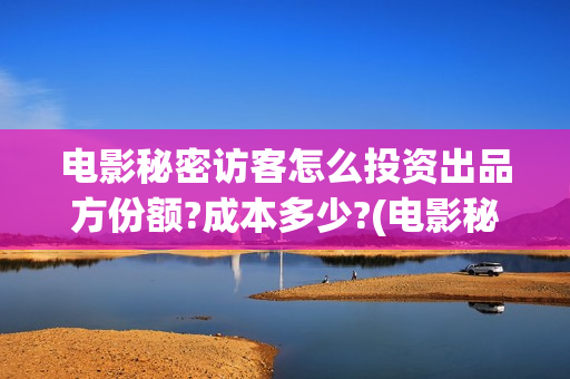电影秘密访客怎么投资出品方份额?成本多少?(电影秘密访客没看懂)