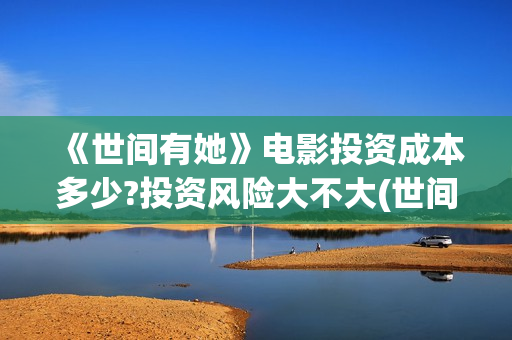 《世间有她》电影投资成本多少?投资风险大不大(世间有她上映)