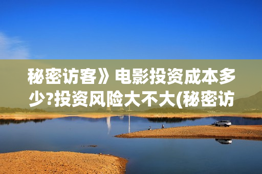 秘密访客》电影投资成本多少?投资风险大不大(秘密访客》电影在线观看)