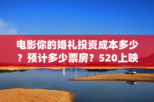 电影你的婚礼投资成本多少？预计多少票房？520上映(电影你的婚礼购票)