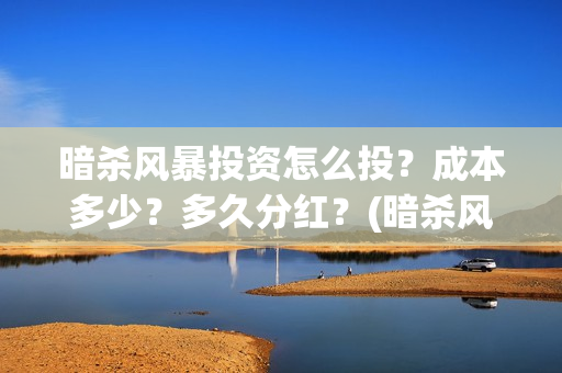 暗杀风暴投资怎么投？成本多少？多久分红？(暗杀风暴演员)