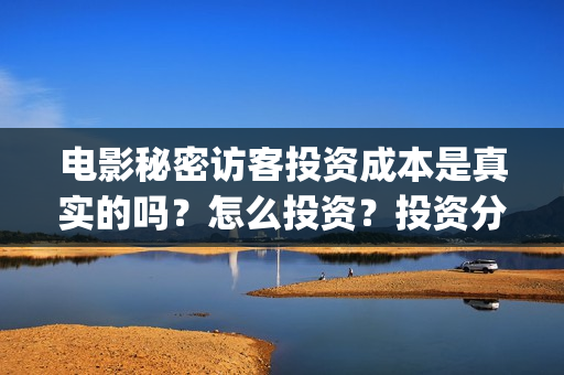 电影秘密访客投资成本是真实的吗？怎么投资？投资分红要多久？(秘密访客电影价钱)