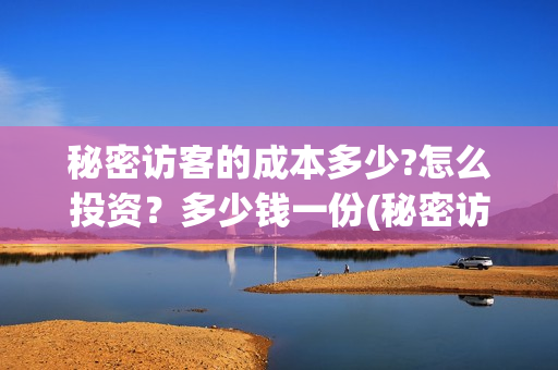 秘密访客的成本多少?怎么投资？多少钱一份(秘密访客的意义)