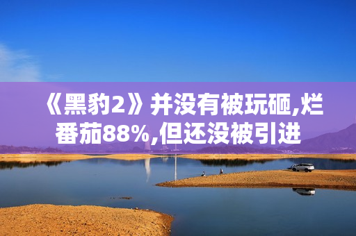 《黑豹2》并没有被玩砸,烂番茄88%,但还没被引进