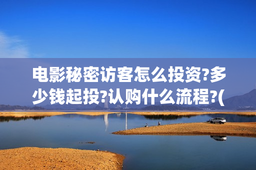 电影秘密访客怎么投资?多少钱起投?认购什么流程?(电影秘密访客有彩蛋吗)