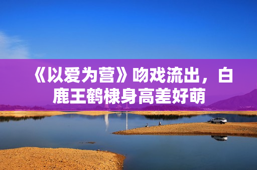 《以爱为营》吻戏流出，白鹿王鹤棣身高差好萌