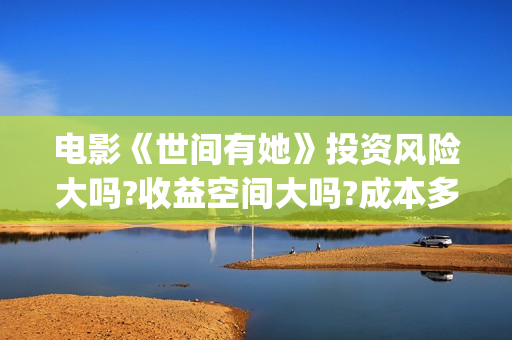 电影《世间有她》投资风险大吗?收益空间大吗?成本多少?(世间有她电影预告片)