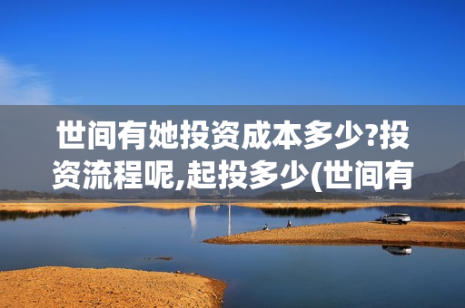 世间有她投资成本多少?投资流程呢,起投多少(世间有她电影投资)