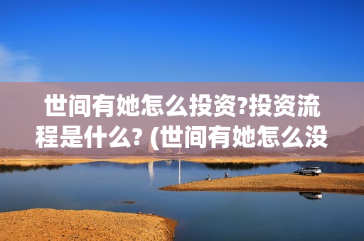 世间有她怎么投资?投资流程是什么? (世间有她怎么没了)