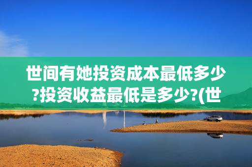世间有她投资成本最低多少?投资收益最低是多少?(世间有她投资公司)