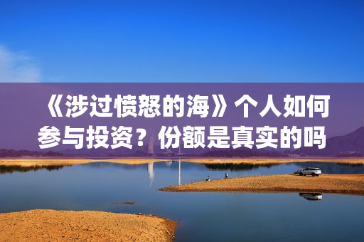 《涉过愤怒的海》个人如何参与投资?份额是真实的吗?收益有保障吗?(涉过愤怒的海事件原型) 《涉过愤怒的海》个人如何参与投资?份额是真实的吗?收益有保障吗?(涉过愤怒的海事件原型)