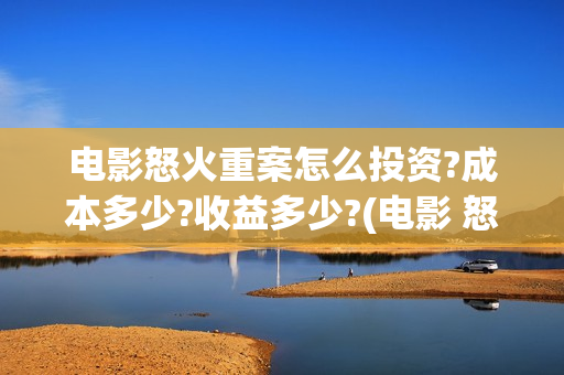 电影怒火重案怎么投资?成本多少?收益多少?(电影 怒火重案)