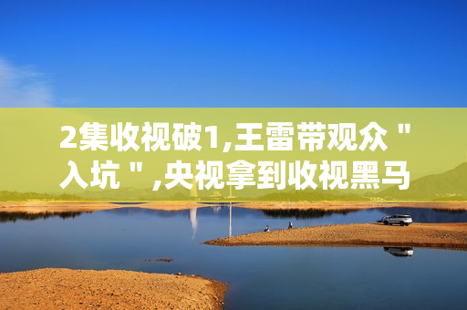 2集收视破1,王雷带观众＂入坑＂,央视拿到收视黑马?