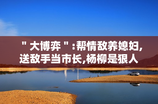 ＂大博弈＂:帮情敌养媳妇,送敌手当市长,杨柳是狠人