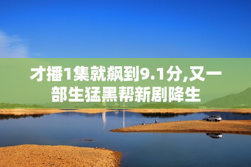才播1集就飙到9.1分,又一部生猛黑帮新剧降生