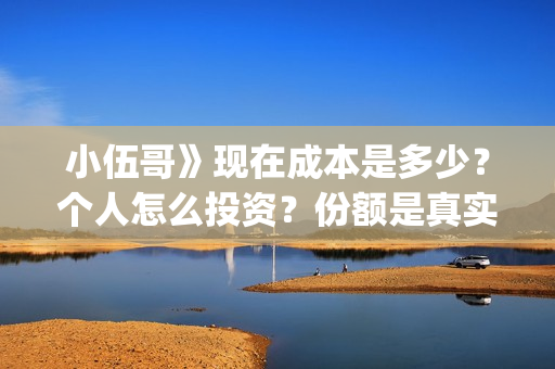 小伍哥》现在成本是多少？个人怎么投资？份额是真实的吗？(小伍哥播出时间)