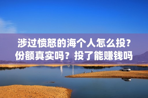 涉过愤怒的海个人怎么投？份额真实吗？投了能赚钱吗？(涉过愤怒的海 海报)