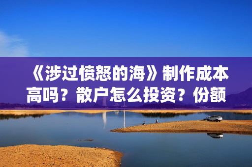 《涉过愤怒的海》制作成本高吗？散户怎么投资？份额真实吗?(涉过愤怒的海事件原型)