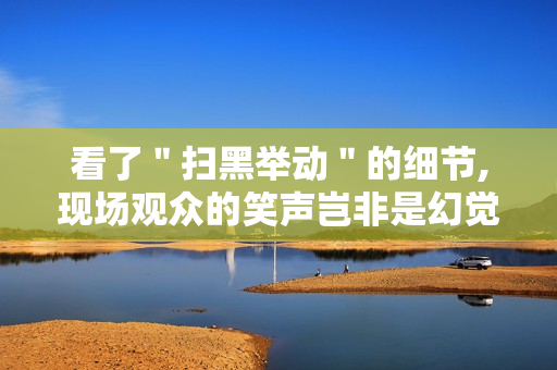 看了＂扫黑举动＂的细节,现场观众的笑声岂非是幻觉