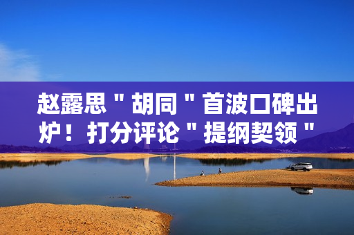 赵露思＂胡同＂首波口碑出炉！打分评论＂提纲契领＂