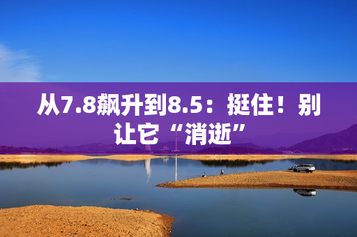 从7.8飙升到8.5：挺住！别让它“消逝”