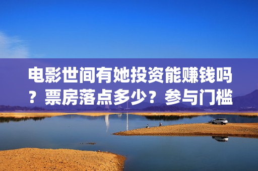 电影世间有她投资能赚钱吗？票房落点多少？参与门槛多少？(电影 世间有她)