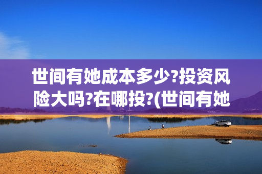 世间有她成本多少?投资风险大吗?在哪投?(世间有她投资成本)