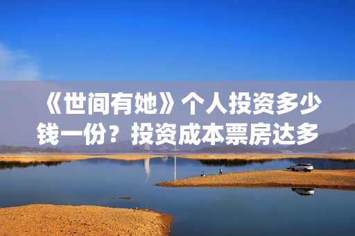 《世间有她》个人投资多少钱一份？投资成本票房达多少回本？(世间有她女主角)
