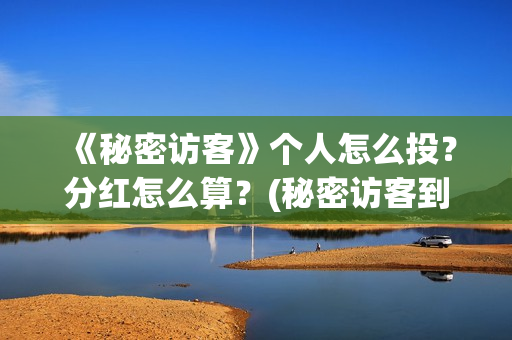 《秘密访客》个人怎么投？分红怎么算？(秘密访客到底演了个啥)