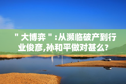 ＂大博弈＂:从濒临破产到行业俊彦,孙和平做对甚么?