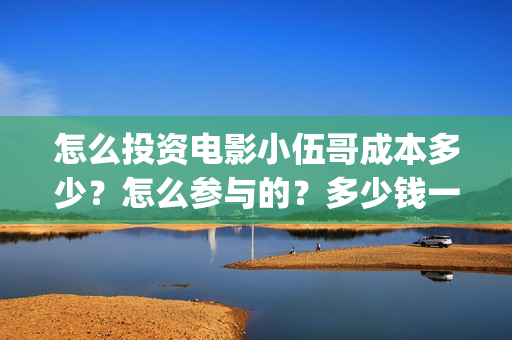 怎么投资电影小伍哥成本多少？怎么参与的？多少钱一份(怎么投资电影小说公司)
