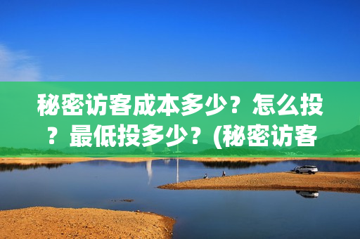 秘密访客成本多少？怎么投？最低投多少？(秘密访客有多久)