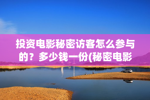 投资电影秘密访客怎么参与的？多少钱一份(秘密电影原著)