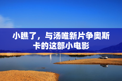 小瞧了，与汤唯新片争奥斯卡的这部小电影