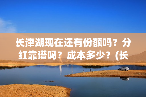 长津湖现在还有份额吗？分红靠谱吗？成本多少？(长津湖现在什么样)