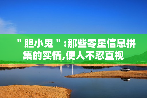 "胆小鬼":那些零星信息拼集的实情,使人不忍直视 "胆小鬼":那些零星信息拼集的实情,使人不忍直视