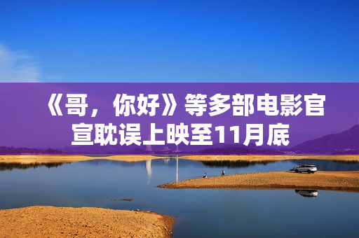 《哥，你好》等多部电影官宣耽误上映至11月底