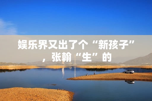 娱乐界又出了个“新孩子”，张翰“生”的