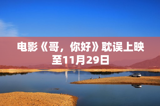 电影《哥，你好》耽误上映至11月29日