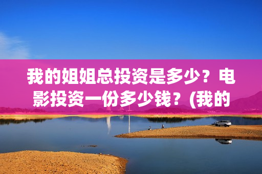我的姐姐总投资是多少？电影投资一份多少钱？(我的姐姐投资商)